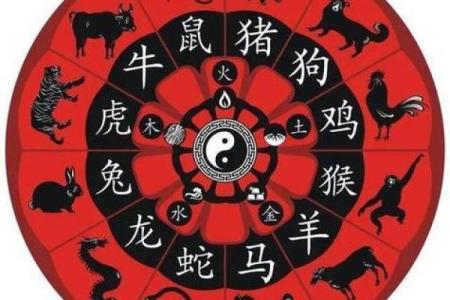 吃里扒外是什么生肖