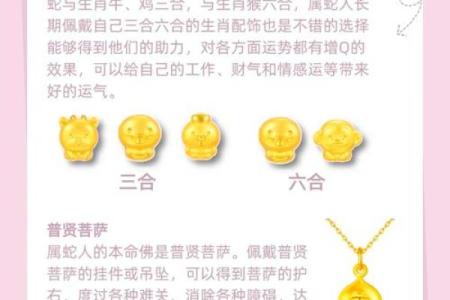 一息尚存是什么生肖