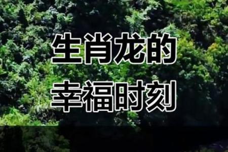 属龙人几月出生好 苦命龙一般生在几月