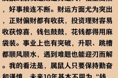 1984年出生的属鼠人一生命运如何？事业财运详解