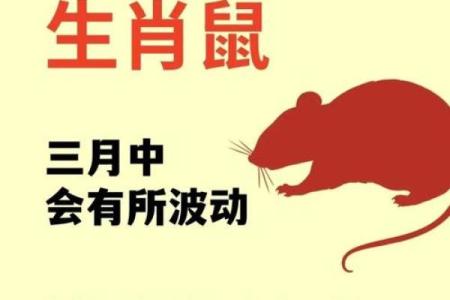 1996年属鼠的人一生中会经历哪三次大的劫难考验？