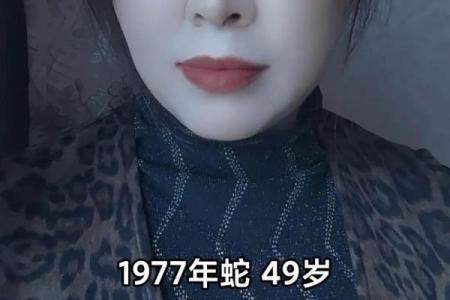 1977年属蛇的三合贵人 1977年属蛇
