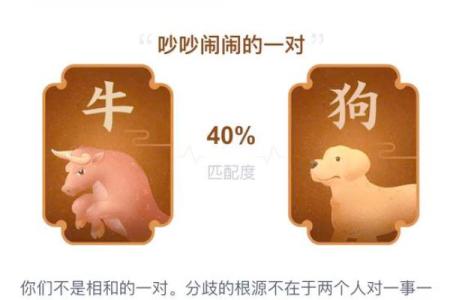 狗年男婚配什么属相女最好 狗年男与狗年女婚配好吗