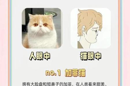 丑陋至极是什么生肖 丑陋至极是指什么动物