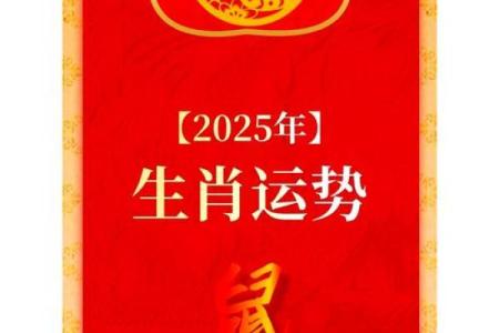 属鼠人2025年财运事业健康感情全方位运势预测