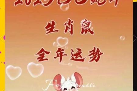 1948年出生的生肖鼠2024年本命年运势如何？要注意什么？