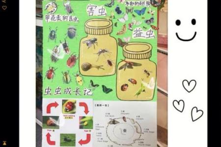 草长莺飞的季节里最适合带孩子观察哪些小动物和昆虫？