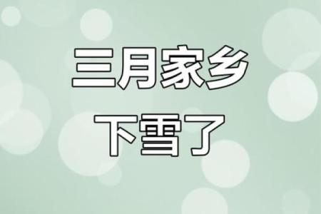 阳春白雪打一个生肖(阳春白雪打一生肖正确答案)