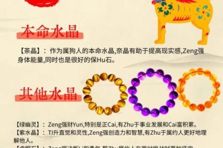 2025年属狗者如何防范事业上的竞争对手与小人？