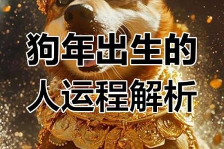 1982年出生属狗者2025年事业财运和健康感情运势预测