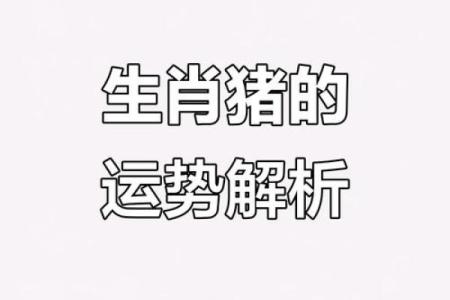 属猪一生三大劫难 属猪一生三大坎