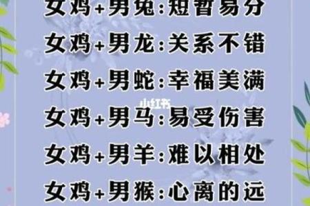 男鸡和女羊的属相合不合 男鸡女羊的属相合不合财运