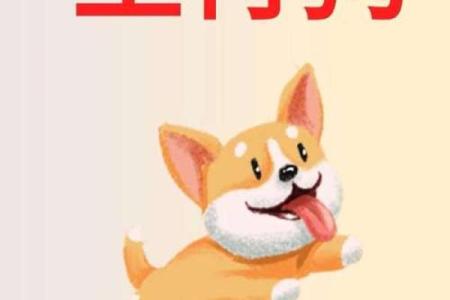 属狗的人2025年每月运程如何？需要注意哪些重要事项？