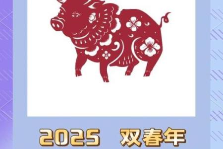 属猪的人2013年运程