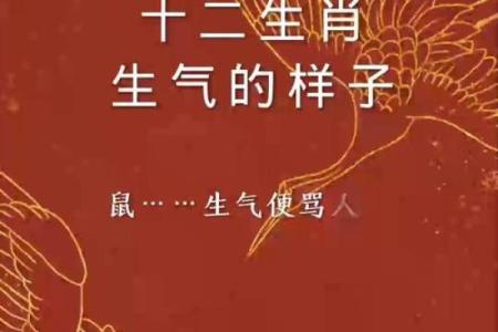 愤世嫉俗是什么生肖 愤世嫉俗是什么意思