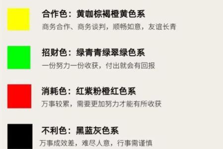 1972年出生的属鼠人一生命运如何？事业财运详细解析