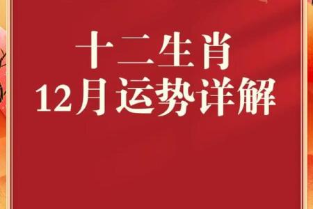 十二生肖中哪个动物最容易方寸大乱，原因又是什么？