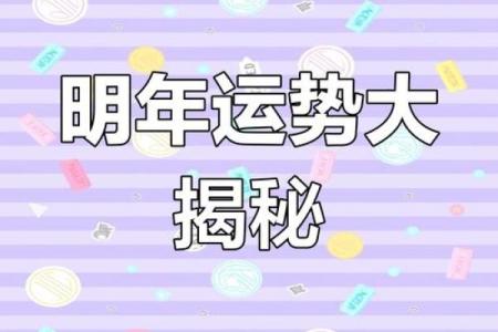 1984年属鼠41岁后十年大运如何？事业财运健康详解