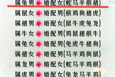 从性格角度分析，鼠男和马女的婚姻组合可能存在哪些挑战？