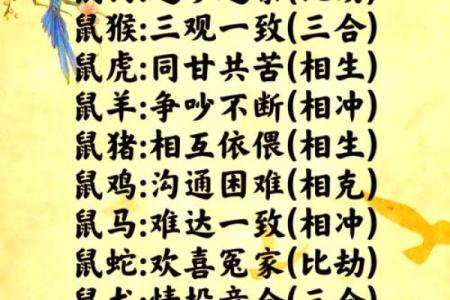 1996年属鼠的人哪一年会遇到命中注定的正缘结婚