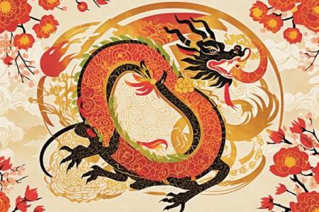 属龙人2019年运势(属龙2019年的运势)