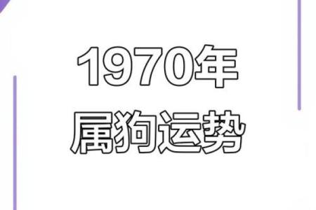 属狗2019年运势 属狗2019年运势及运程