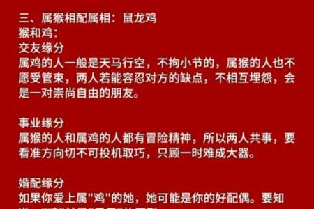 92年的属什么生肖配对最好 92年属什么生肖与什么配最好