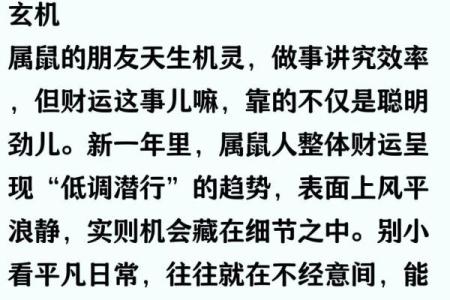 2025年属鼠人财运事业运势如何？有哪些需要注意的月份？