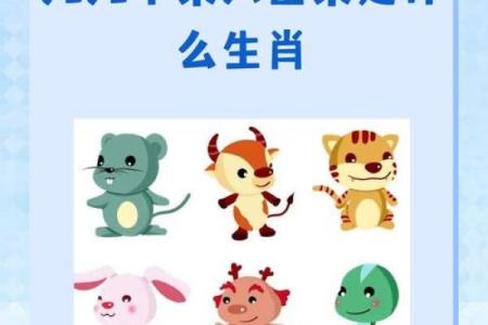 样指什么生肖 三从四德卦女样是什么生肖
