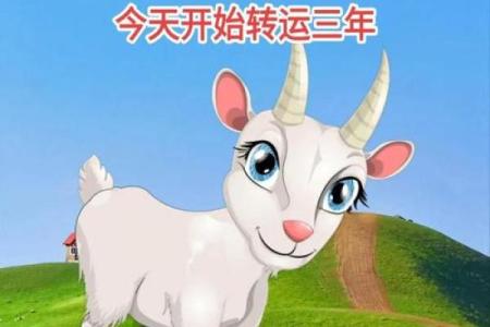 属羊农历几月出生最好 属羊的是几几年生的
