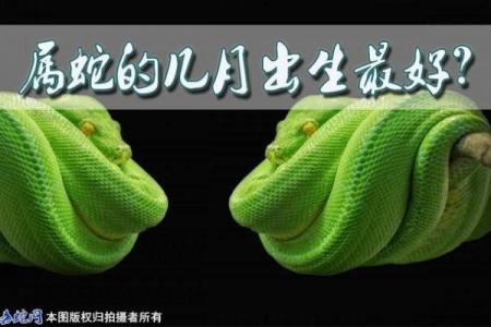 蛇年孩子几月出生好 属蛇的孩子几月出生最好