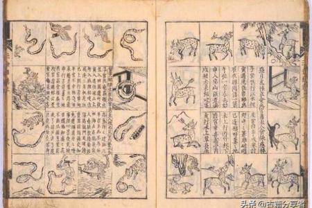 五两四命最忌三种属相 五两四女命细解一生