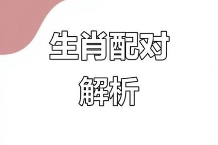 属兔跟属鸡的合不合 属兔跟属鸡的合不合财运呀