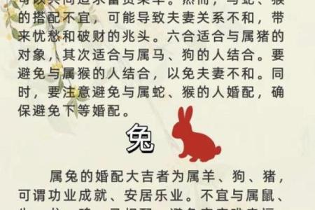 男羊和女马属相合不合 男羊和女马属相合不合财