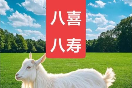 2025年91属羊大忌颜色 91年属羊最旺颜色钱包