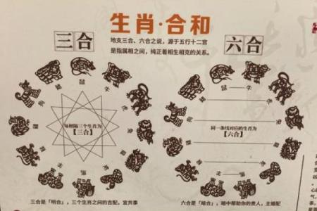 属蛇和属龙的合财吗 属蛇和属龙的合财吗婚姻