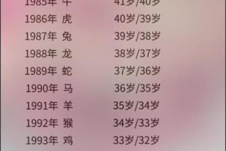1996年出生的属鼠人2025年婚姻运势如何，正缘桃花和感情建议