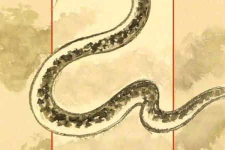‌称孤道寡打一生肖 → 蛇‌（伏羲人首蛇身，上古称孤）