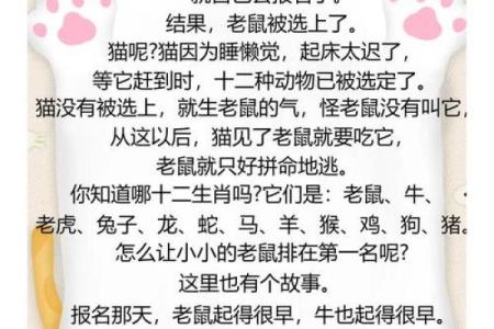 什么叫大生肖 什么叫生肖属日