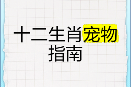 童心未泯的人最适合养什么宠物生肖动物？