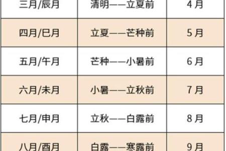 今天是什么生肖年 今天是什么生肖年份