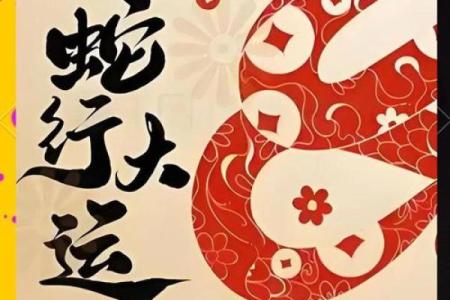 1996年出生的属鼠人在2025年蛇年感情运势与事业财运如何