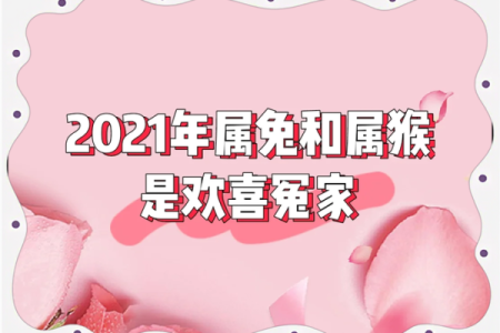 属猴和属兔的合不合 属猴和属兔的合不合财运今年怎么样