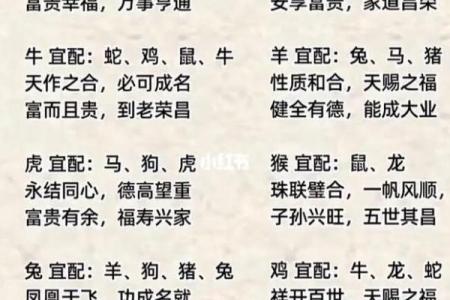 春花秋月最佳正确生肖
