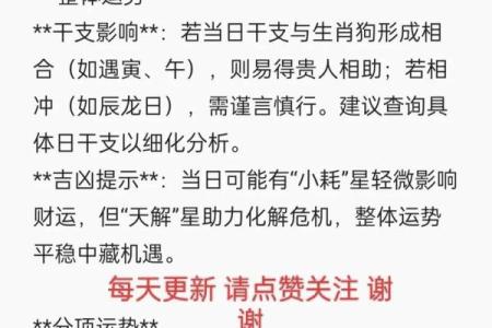 2025年属狗人的全年运势详解及每月运程预测