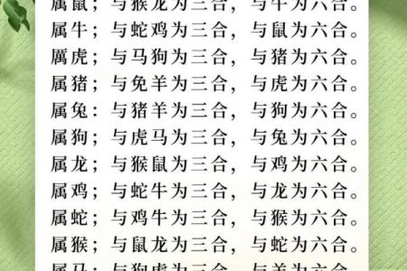 兔和鸡属相合不合财运 兔和鸡属相合不合适