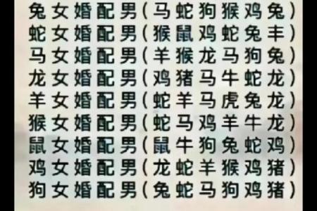 十二生肖属相婚配表 十二生肖属相婚配表最新版