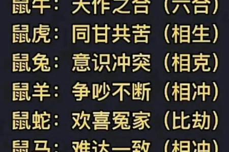 属虎和属鼠的属相合不合 属虎和属鼠的属相合不合适