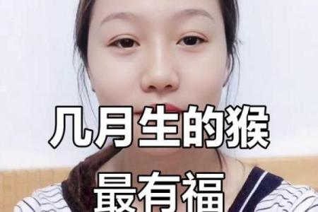 属猴的今年怀孕几月生男孩 属猴的怀孕最好的月份