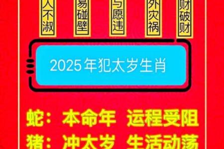 属鼠人2025年每月运程预测，如何化解太岁提升事业运势